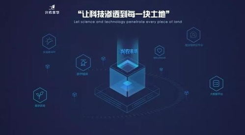 興農(nóng)豐華與國家玉米改良中心達成戰(zhàn)略合作 信息技術驅動玉米工程化育種創(chuàng)新